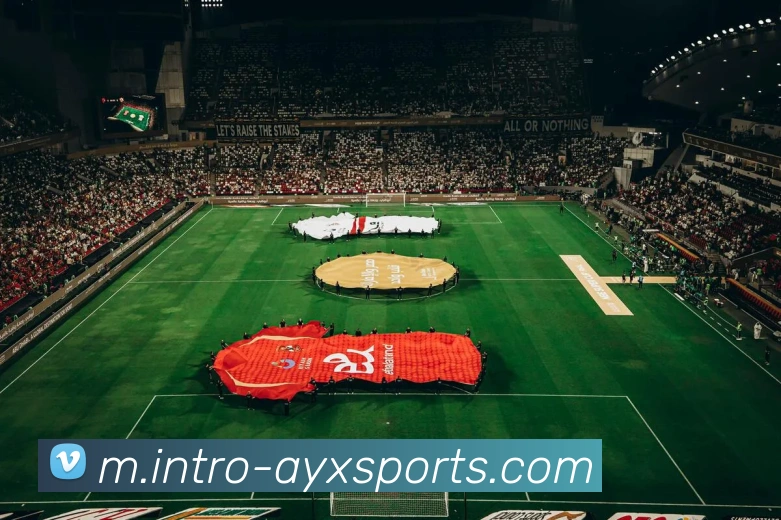 多媒体互动体验